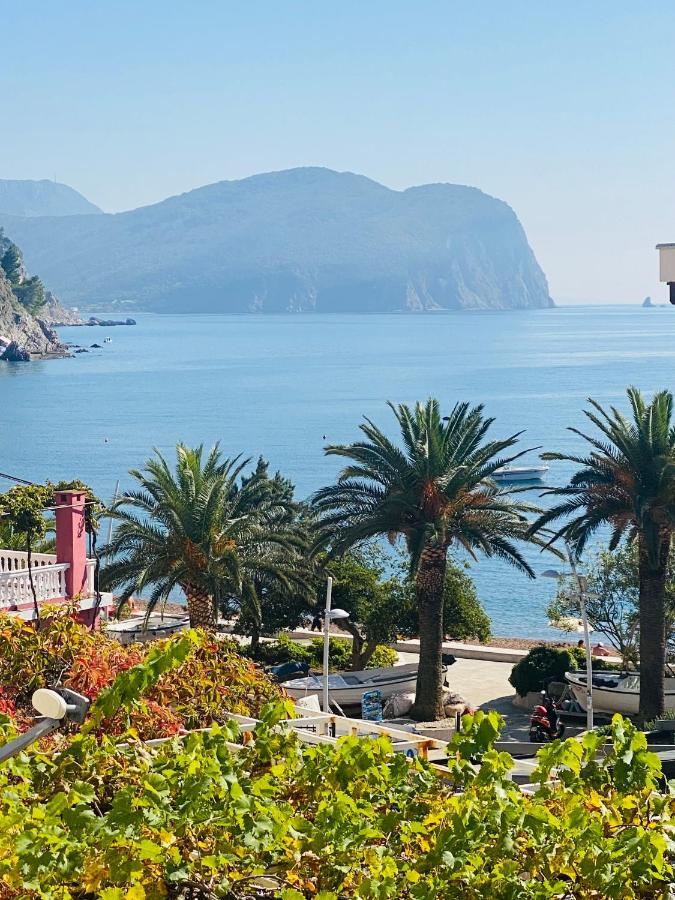 Miomir Perazic Apartments Petrovac Eksteriør billede